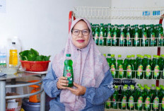 Manfaatkan Potensi Daun Sirih Jadi Sabun Bunda Fresh