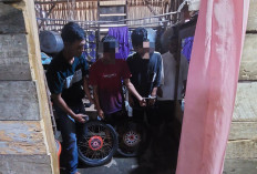 Dua ABG Jual Motor Curian di Medsos