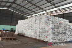 Awal 2026, Stok Beras di Bulog Belitung 282,5 Ton
