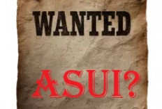 Hanya 13 Bandit Kelas 'Kroco' Diproses Hukum? Apa Kabar Asui?