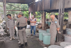 Pol PP Gerebek Pabrik Arak di Sigambir Pemali, Ratusan Liter Diamankan
