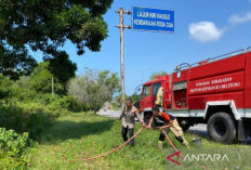 Musim Kemarau, Polda Minta Warga Tidak Bakar Lahan dan Hutan