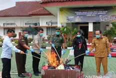 Kejari Bangka Tengah Musnahkan Barang Bukti 37 Perkara Kejahatan