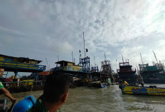 Diduga Abaikan Peringatan PT. Timah, CV TB Ngotot Menambang di Laut Bagger