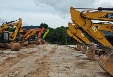 Tersangka Tambang Illegal Masih 4 Orang, Ahok Masih Aman?