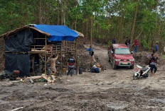 Hutan Produksi Gunung Muda Luluh Lantak Dihajar Tambang, Ada 2 Cukong Terseret?