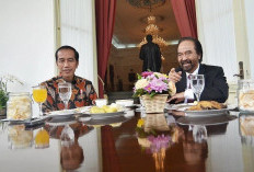 Pertemuan Jokowi dan Paloh sudah lazim