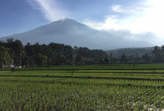  Catatan 10 Gunung Paling Angker di Indonesia, Pendaki Alami Kejadian Janggal 