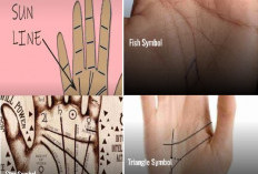 Ada 4 Simbol Garis Tangan dan Maknanya, Percaya atau Tidak?  