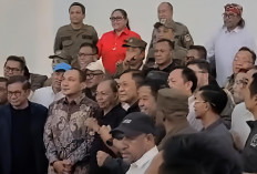 Dilarang Ikut Retreat, Megawati Perintahkan: 126 Kepala Daerah di Kafe Sebelah