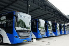 20 Unit Bus Listrik CKD Resmi Beroperasi