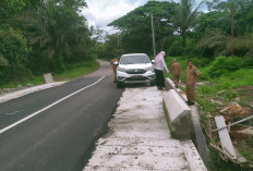 DBH Sawit Selesaikan Perbaikan Jalan Silip - Gunung Muda Belinyu