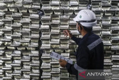 PT Timah bagikan dividen Rp 656,8 miliar