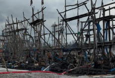 Menambang di Sarang Ikan itu Berat? Kamal & Andrian,  Siapa?