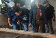  Herman Fu Cs Ketar-ketir!