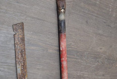 Pelaku Penombakan Operator Speed Lidah Tertangkap