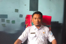 Tak Lagi Bisa Sembarang Tentukan Tarif, Sewa Alsintan Akan Diatur Perda