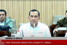 PT Timah Minta Dukungan ke DPR RI