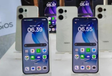 Oppo Reno 13 Bisa Foto Bawah Air