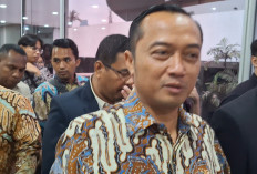 Istana Belum Minta Bantuan LN