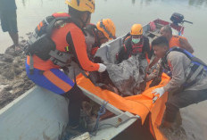 Penambang Timah Tewas Diterkam Buaya Sungai Gedong 