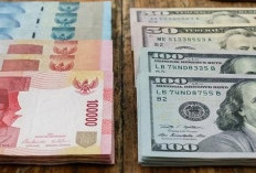 Gimana Nih, Rupiah Terus Melorot!