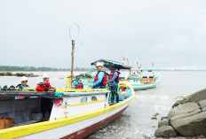 Strategi PT Timah Jaga Laut dengan Aritificial Reef
