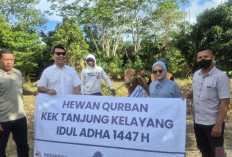 KEK Tanjung Kelayang Salurkan Sapi Kurban Idul Adha 1447 Hijriah