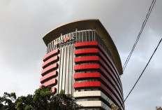  Data KPK dan kemenhut Kok Beda, Soal Tambang Ilegal Kawasan Hutan!