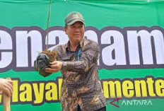 Pemprov Benahi Tata Ruang Atasi Banjir