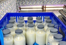  BGN Klarifikasi Tudingan MBG Hanya Mengandung Susu 30%?  