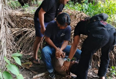 Pergi Belanja ke Toko, Remaja di Basel Pulang Berlumuran Darah, Lalu Meregang Nyawa