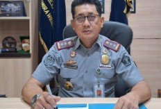  WNA di Babel Dominasi Sektor Tambang, 1.090 Perpanjang izin Tinggal, 4 Dideportasi