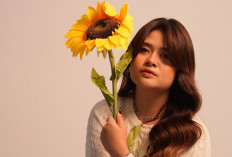 Seventh Stars Resmi Meluncur