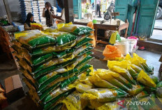 Inflasi September Tercatat Meningkat 0,21 %