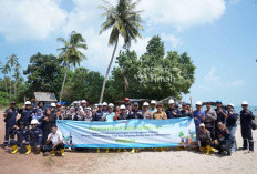 PT Timah Tanam Ribuan Mangrove