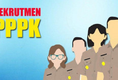 Siap-siap! Pendaftaran PPPK 2024 Gelombang 2, Dibuka 17 November 2024