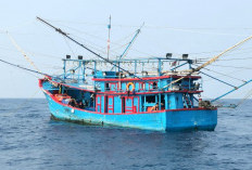 BBM Rp15.000/Liter Buat Kapal Nelayan 30–200 GT
