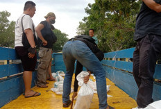 Ditreskrimsus Amankan Truk Fiber Ikan Bermuatan Balok Timah 