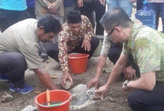  Terindikasi Caplok Lahan IUP PT Timah, Kejari Belitung Bidik Perkebunan Sawit PT BAT 