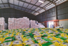 Pemprov Pastikan Stok Beras Mencukupi