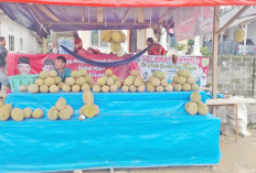Durian Jantung Jadi Favorit, Pedagang Raup Belasan Juta
