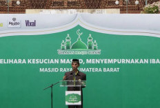 DMI Tegaskan Tidak Boleh Jadikan Masjid Tempat Kampanye