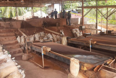 Penyelundupan Timah Jadi Syurganya Maling, Karena Tingginya Harga Jual di Malaysia