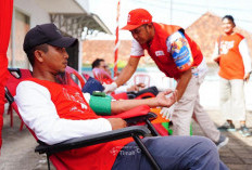 PT Timah Himpun Puluhan Kantong Darah di Toboali