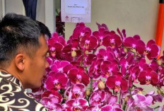 Jokowi Kirim Karangan Bunga di HUT ke-77 Megawati