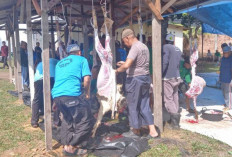 Masjid Kubah Timah Potong 12 Ekor Hewan Kurban