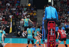 Jakarta Electric PLN Kunci Tiket Grand Final Proliga 2024