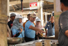 Erzaldi Ungkap 8 Kunci Tercapainya Tujuan Pembangunan Bangka Belitung