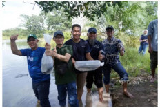 PT Timah Tebar Ribuan Ikan Endemik